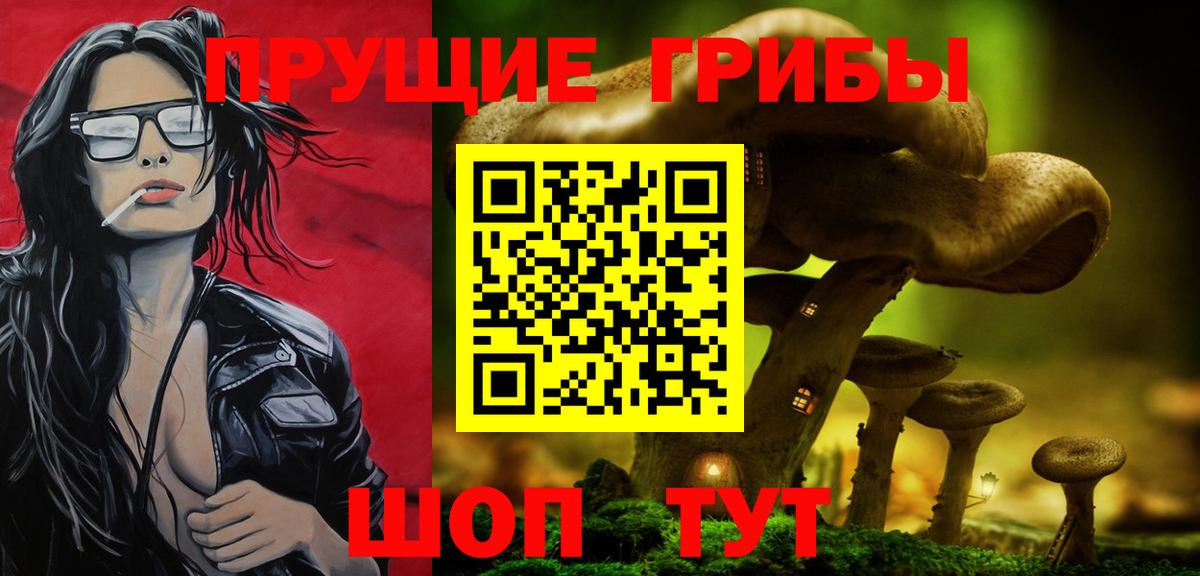 Псилоцибиновые грибы MAGIC MUSHROOMS  Вход с VPN  Углич 